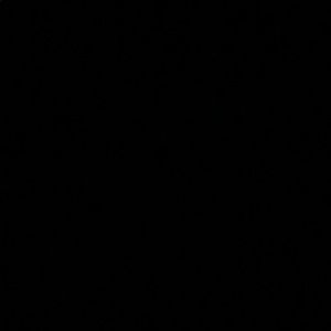 Meet your Posher, Bailey